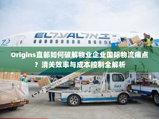 Origins直邮如何破解物业企业国际物流痛点?清关效率与成本控制全解析 Origins直邮如何破解物业企业国际物流痛点?清关效率与成本控制全解析