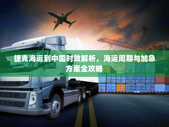 捷克海运到中国时效解析，海运周期与加急方案全攻略