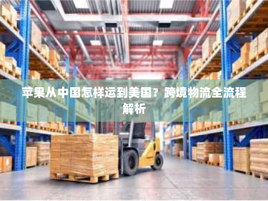 苹果从中国怎样运到美国?跨境物流全流程解析 苹果从中国怎样运到美国?跨境物流全流程解析
