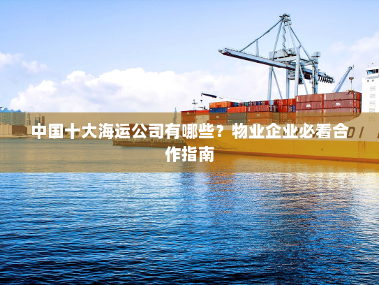 中国十大海运公司有哪些?物业企业必看合作指南 中国十大海运公司有哪些?物业企业必看合作指南