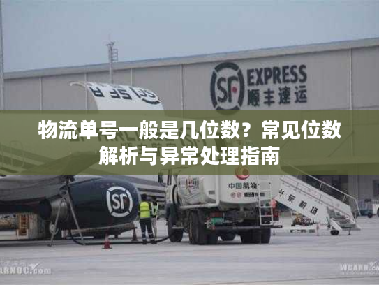 物流单号一般是几位数?常见位数解析与异常处理指南 物流单号一般是几位数?常见位数解析与异常处理指南