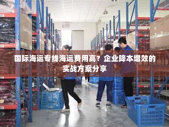 国际海运专线海运费用高？企业降本增效的实战方案分享