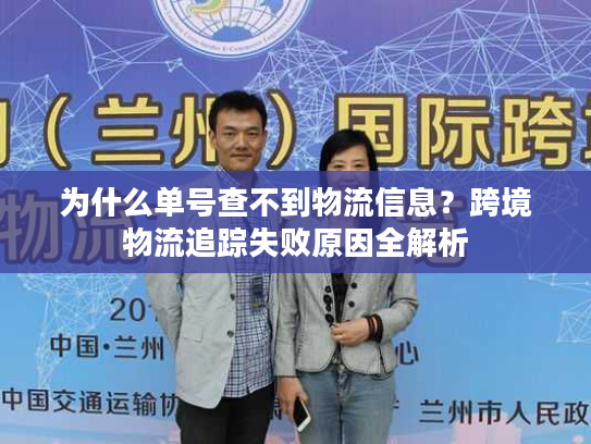 为什么单号查不到物流信息?跨境物流追踪失败原因全解析 为什么单号查不到物流信息?跨境物流追踪失败原因全解析