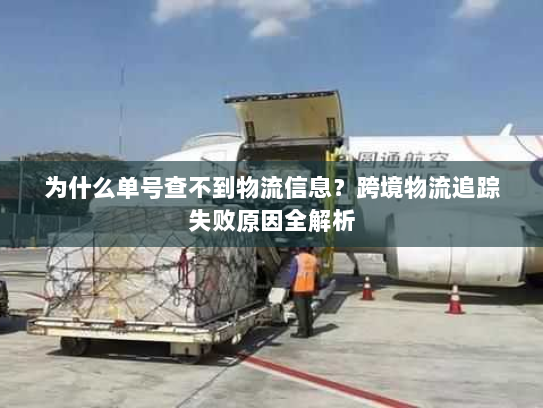 为什么单号查不到物流信息?跨境物流追踪失败原因全解析 为什么单号查不到物流信息?跨境物流追踪失败原因全解析