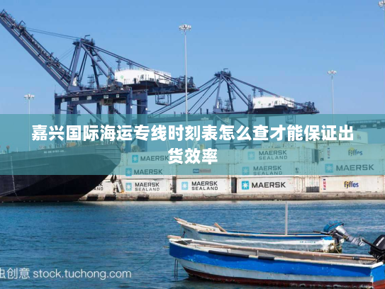 嘉兴国际海运专线时刻表怎么查才能保证出货效率 嘉兴国际海运专线时刻表怎么查才能保证出货效率