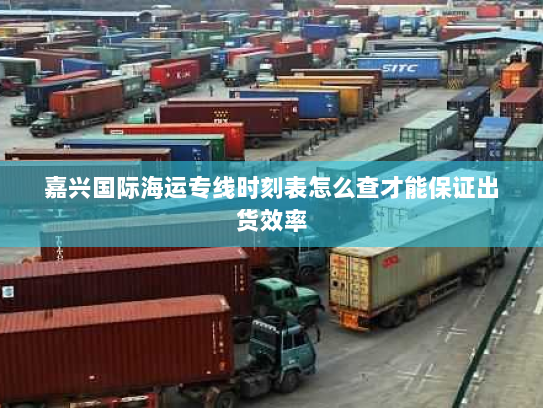 嘉兴国际海运专线时刻表怎么查才能保证出货效率 嘉兴国际海运专线时刻表怎么查才能保证出货效率