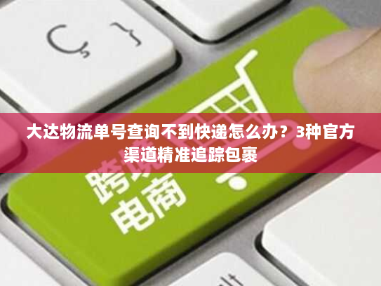 大达物流单号查询不到快递怎么办?3种官方渠道精准追踪包裹 大达物流单号查询不到快递怎么办?3种官方渠道精准追踪包裹