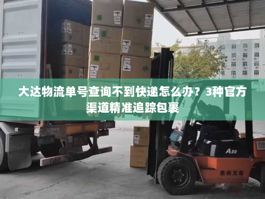 大达物流单号查询不到快递怎么办?3种官方渠道精准追踪包裹 大达物流单号查询不到快递怎么办?3种官方渠道精准追踪包裹