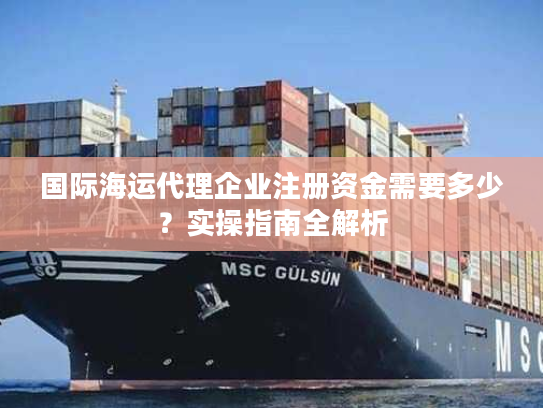 国际海运代理企业注册资金需要多少？实操指南全解析