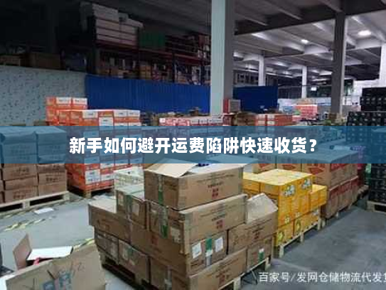 新手如何避开运费陷阱快速收货？