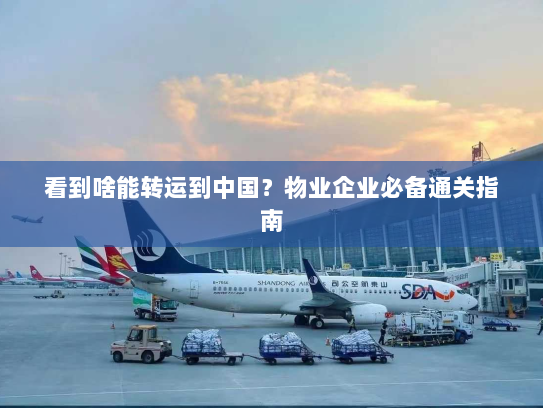 看到啥能转运到中国?物业企业必备通关指南 看到啥能转运到中国?物业企业必备通关指南