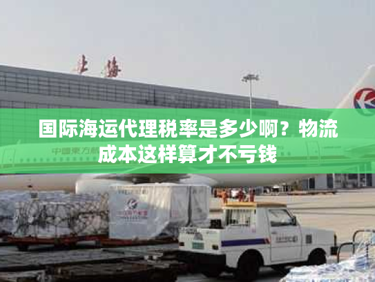 国际海运代理税率是多少啊?物流成本这样算才不亏钱 国际海运代理税率是多少啊?物流成本这样算才不亏钱