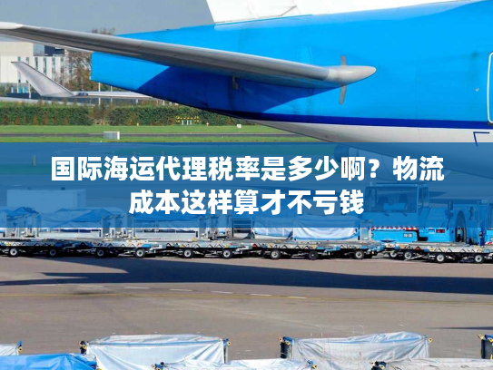 国际海运代理税率是多少啊?物流成本这样算才不亏钱 国际海运代理税率是多少啊?物流成本这样算才不亏钱
