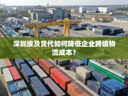 深圳埃及货代如何降低企业跨境物流成本？