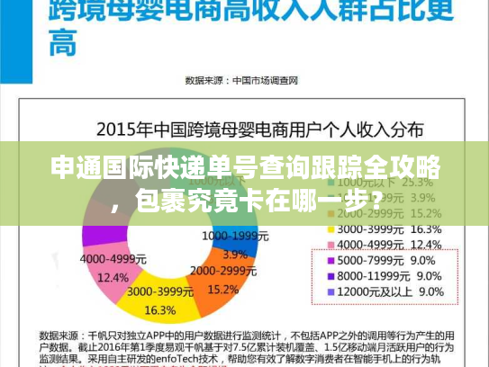 申通国际快递单号查询跟踪全攻略,包裹究竟卡在哪一步? 申通国际快递单号查询跟踪全攻略,包裹究竟卡在哪一步?