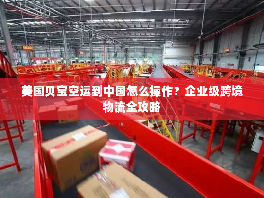 美国贝宝空运到中国怎么操作?企业级跨境物流全攻略 美国贝宝空运到中国怎么操作?企业级跨境物流全攻略