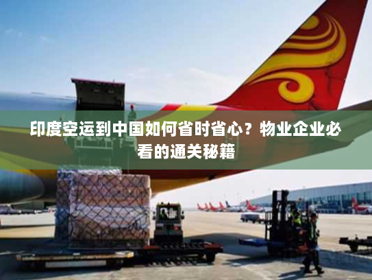印度空运到中国如何省时省心?物业企业必看的通关秘籍 印度空运到中国如何省时省心?物业企业必看的通关秘籍