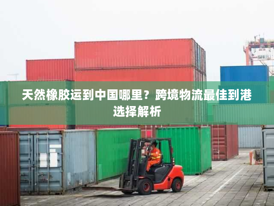 天然橡胶运到中国哪里?跨境物流最佳到港选择解析 天然橡胶运到中国哪里?跨境物流最佳到港选择解析