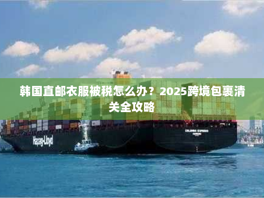 韩国直邮衣服被税怎么办？2025跨境包裹清关全攻略