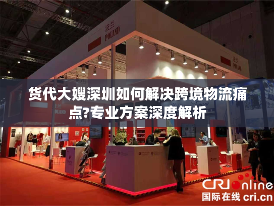 货代大嫂深圳如何解决跨境物流痛点?专业方案深度解析