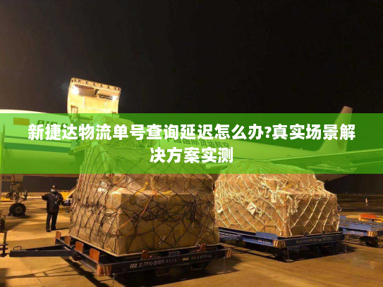 新捷达物流单号查询延迟怎么办?真实场景解决方案实测