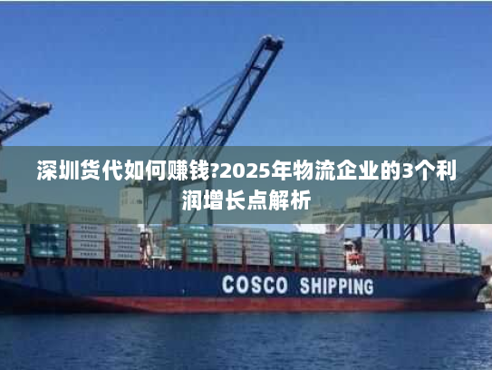 深圳货代如何赚钱?2025年物流企业的3个利润增长点解析 深圳货代如何赚钱?2025年物流企业的3个利润增长点解析