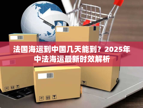 法国海运到中国几天能到？2025年中法海运最新时效解析