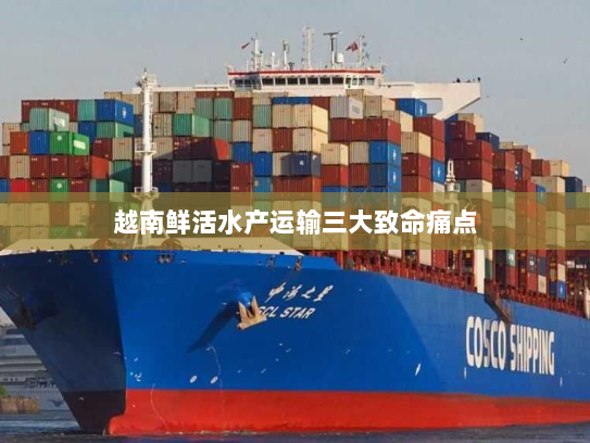 越南鲜活水产运输三大致命痛点 越南鲜活水产运输三大致命痛点