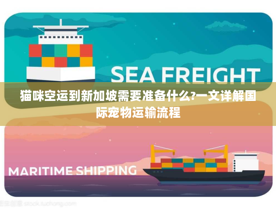 猫咪空运到新加坡需要准备什么?一文详解国际宠物运输流程 猫咪空运到新加坡需要准备什么?一文详解国际宠物运输流程