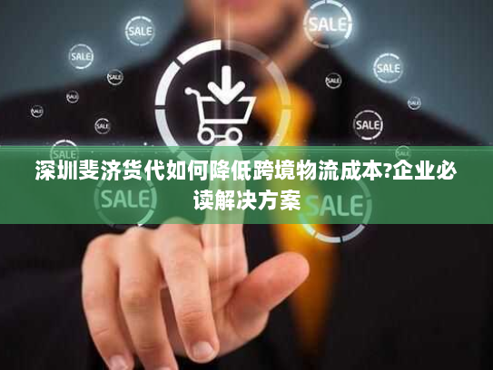 深圳斐济货代如何降低跨境物流成本?企业必读解决方案 深圳斐济货代如何降低跨境物流成本?企业必读解决方案