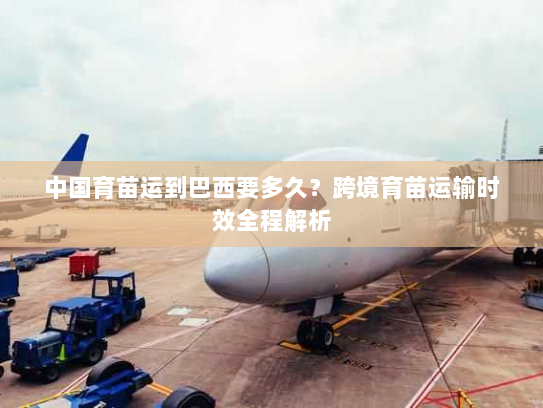 中国育苗运到巴西要多久?跨境育苗运输时效全程解析 中国育苗运到巴西要多久?跨境育苗运输时效全程解析