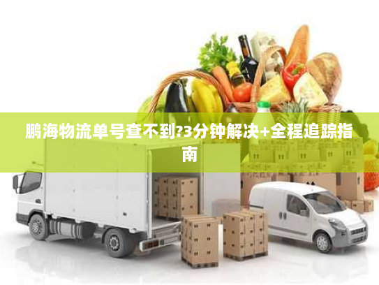 鹏海物流单号查不到?3分钟解决+全程追踪指南 鹏海物流单号查不到?3分钟解决+全程追踪指南
