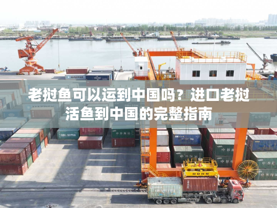 老挝鱼可以运到中国吗?进口老挝活鱼到中国的完整指南 老挝鱼可以运到中国吗?进口老挝活鱼到中国的完整指南