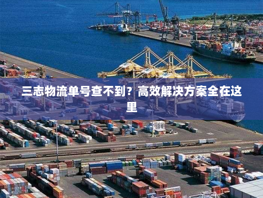 三志物流单号查不到？高效解决方案全在这里