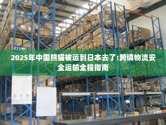 2025年中国熊猫被运到日本去了:跨境物流安全运输全程指南 2025年中国熊猫被运到日本去了:跨境物流安全运输全程指南