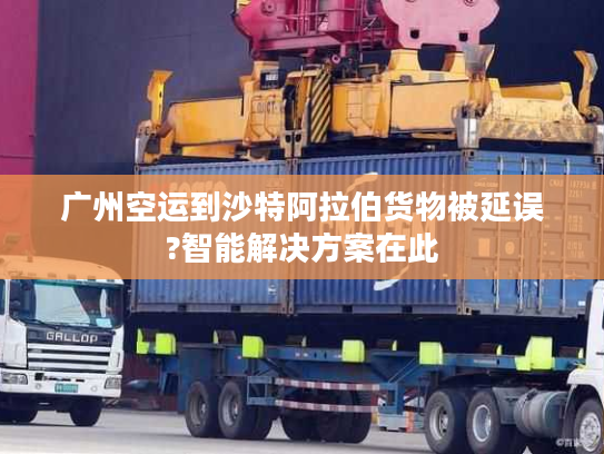 广州空运到沙特阿拉伯货物被延误?智能解决方案在此