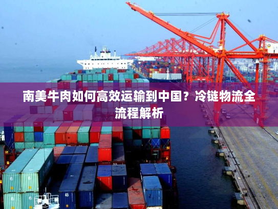 南美牛肉如何高效运输到中国?冷链物流全流程解析 南美牛肉如何高效运输到中国?冷链物流全流程解析