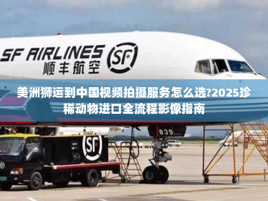美洲狮运到中国视频拍摄服务怎么选?2025珍稀动物进口全流程影像指南 美洲狮运到中国视频拍摄服务怎么选?2025珍稀动物进口全流程影像指南