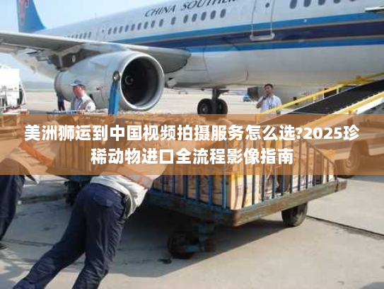 美洲狮运到中国视频拍摄服务怎么选?2025珍稀动物进口全流程影像指南 美洲狮运到中国视频拍摄服务怎么选?2025珍稀动物进口全流程影像指南