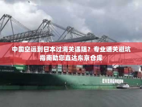 中国空运到日本过海关遇阻?专业通关避坑指南助您直达东京仓库 中国空运到日本过海关遇阻?专业通关避坑指南助您直达东京仓库