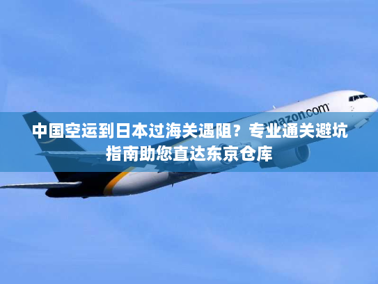 中国空运到日本过海关遇阻?专业通关避坑指南助您直达东京仓库 中国空运到日本过海关遇阻?专业通关避坑指南助您直达东京仓库