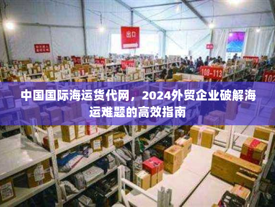 中国国际海运货代网，2024外贸企业破解海运难题的高效指南