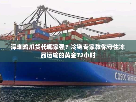 深圳鸡爪货代哪家强？冷链专家教你守住冻品运输的黄金72小时