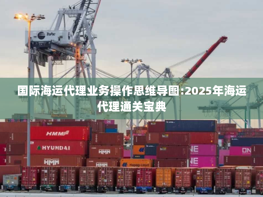国际海运代理业务操作思维导图:2025年海运代理通关宝典 国际海运代理业务操作思维导图:2025年海运代理通关宝典