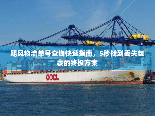飓风物流单号查询快速指南,5秒找到丢失包裹的终极方案 飓风物流单号查询快速指南,5秒找到丢失包裹的终极方案