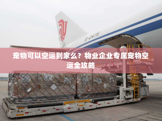 宠物可以空运到家么?物业企业专属宠物空运全攻略 宠物可以空运到家么?物业企业专属宠物空运全攻略