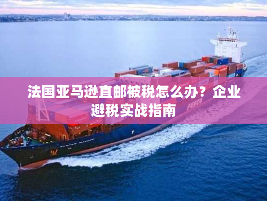 法国亚马逊直邮被税怎么办？企业避税实战指南