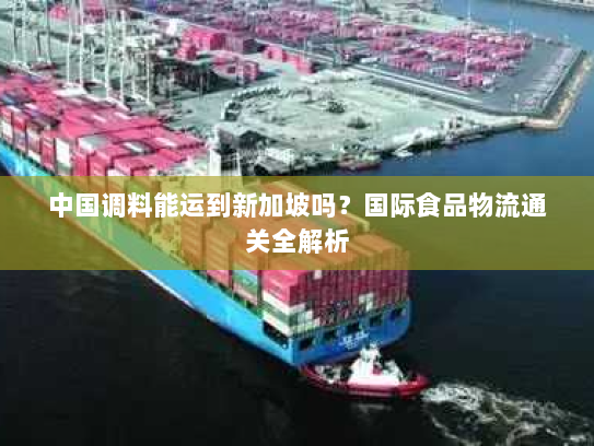 中国调料能运到新加坡吗?国际食品物流通关全解析 中国调料能运到新加坡吗?国际食品物流通关全解析