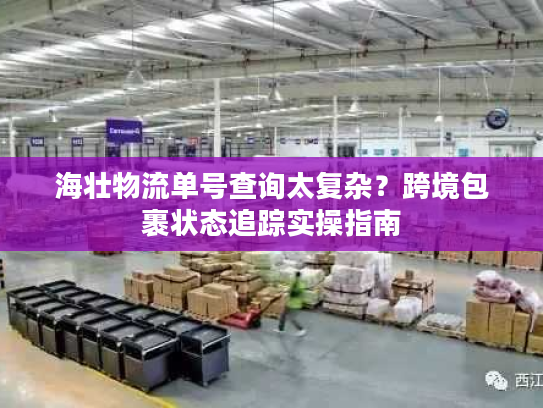 海壮物流单号查询太复杂？跨境包裹状态追踪实操指南