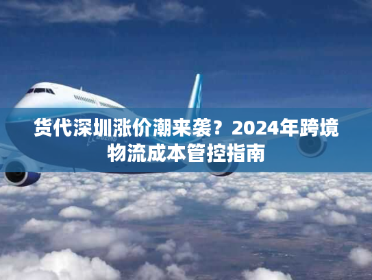 货代深圳涨价潮来袭?2024年跨境物流成本管控指南 货代深圳涨价潮来袭?2024年跨境物流成本管控指南